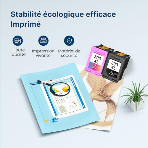303 303XL Cartridge Replacement for HP 303 Black and Colour Ink 303 XL for HP Envy Photo 6230 7134 6232 6232 6220 6234 Envy 7200e 7220e 7900e 7920e (1 Black, 1 Colour, 2 Pack)