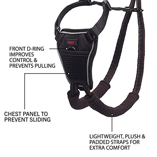 Halti No Pull Harness and Training Lead Combination Pack, Stop Dog