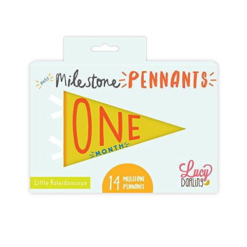 Little Kaleidoscope Petit Milestone Pennant - Thumbnail 2