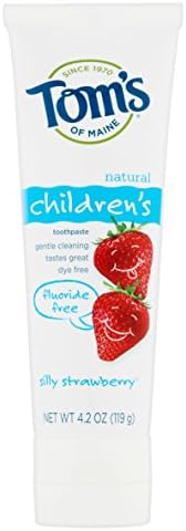 Tom's of Maine Fluoride Free Children's Toothpaste, Silly Strawberry, 4.20 oz (Pack of 1)