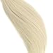 #60 Platinum Blonde Tape in Hair Extensions Human Hair 14inch