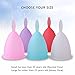LEASEN Menstrual Cup-Health Care Soft Silicone Lady Cup-A Perfect Feminine Alternative to Sanitary Napkins(Purple,Small)