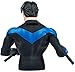 DC Collectibles Comics Super Heroes: Nightwing Bust Coin Bank