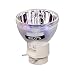 EWO'S 5J.JEE05.001 Projector Bare Lamp Bulb for Benq HT2050 HT3050 HT2150ST HT4050 HT2050A Lamp Bulb Replacement