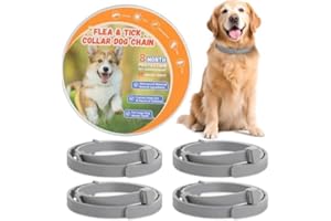 REGUOA 4 Pack Effective Flea Collar for Dogs, 25" Adjustable Natural Pet Flea and Tick Prevention Collars for Large Medium Small Dogs, Waterproof Fleas Ticks Collar for Puppies, 32 Months Protection, Gray
