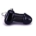 Roomfun Funny Gag Gifts Sex Male Penis Key Ring Novelty Keychain Key Buckle,Black