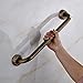 Rozin Antique Brass Tub Safety Grab Bar Wall Mount Handgrip