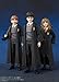 Harry Potter and The Sorcerer's Stone: Ron Weasley, BandaiS.H.Figuarts