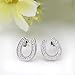 EVER FAITH 925 Sterling Silver Elegant Cubic Zirconia Lucky Horseshoe Stud Earrings for Women