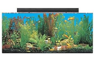 SeaClear 30 gal Show Acrylic Aquarium Combo Set, 36 by 12 by 16", Clear