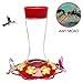 Don Hamilton Hummingbird Feeder,Glass Hummingbird Feeders with Ant Moat for Outdoors,20 Ounce (Large)