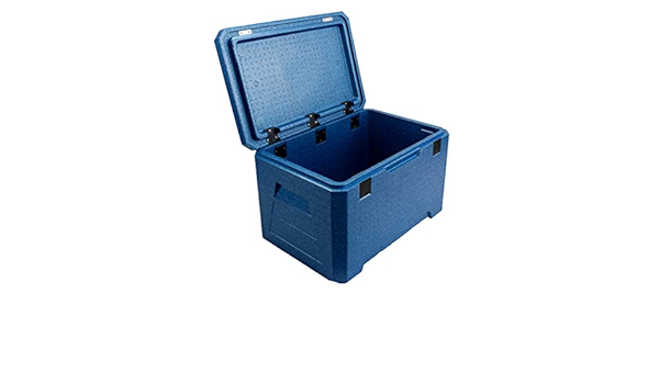 BAIJ Nevera de 53 L con Caja Aislante de Espuma Epp para ...