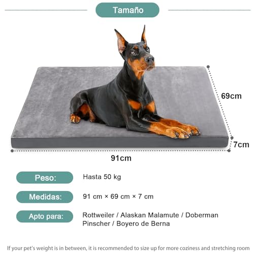 Muja Cama para Perro Grandes de Doble Cara, Cama Ortopédica para Perros con Almohadillas para Orejas Extraíbles y Parte Inferior Antideslizante, Adecuado para Casa para Perro, Pisos y Sofás