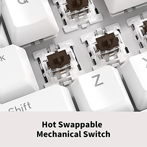 CIY X77 HotSwappable Mechanical Keyboard/RGB Gaming Keyboard/USB C