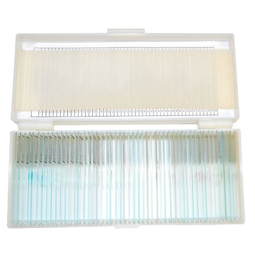 Prepared Microscope Slides (50-Count) Histology Human Tissue Study | Home or School Educational Use | Blood, Muscle, and Organ Samples | Safe Sealed Cover Slips