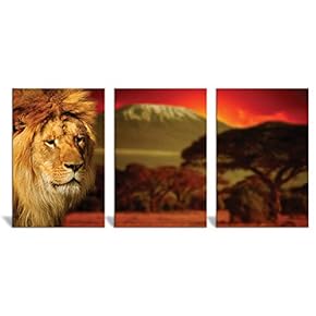 Canvas Wall Art Wild View Animals Beasts Painting Artwork for Home Prints Framed - 16"x24" x 3 Panels