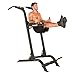 Fitness Reality X Class High Capacity Multi Function Power Tower