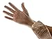 Cranberry USA CR3015 Softouch Vinyl Powder Free Exam Gloves, X-Small, Clear (Pack of 100)