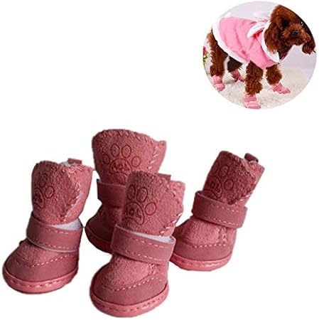 warm dog walking boots