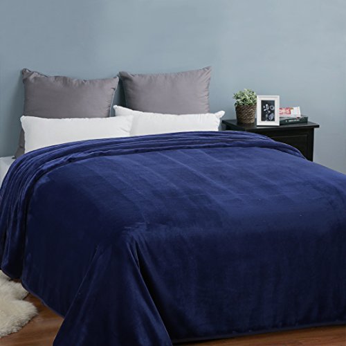 EASELAND Soft Queen Size Blanket Warm Fuzzy Microplush Lightweight