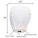 Chinese Lanterns 22-Pack - 100% Biodegradable, Paper Sky Lantern - Japanese Lantern for Weddings, Celebrations, Memorial Ceremonies - White Flying Wish Lanterns, 2 Bonus Colourful Lanterns blue & pink