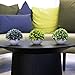 Sophia's Garden Artificial Plants Fake Plants for Plant Decor, Cute, Realistic Desk Plant - Small Artificial Plants Fake Plant Artificial Plant for Home Decor Faux Plant Feaux