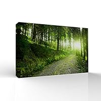 signwin-Canvas Wall Art-Sunshine in The Forest -Canvas Prints Home Artwork Decoration for Living Room,Bedroom - 12x18 inches