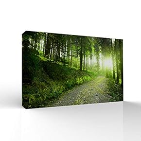 Canvas Wall Art-Sunshine in The Forest -Canvas Prints Home Artwork Decoration for Living Room,Bedroom - 12x18 inches