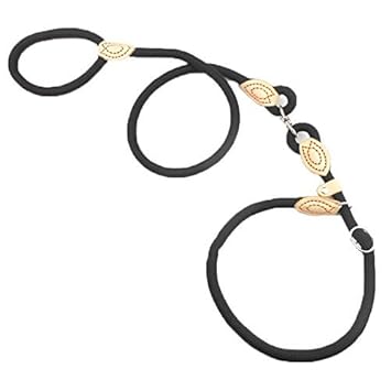 TOPSOSO Fashion Shop Fashion Shop Hundeleine und Halsband, Nylon, Cesar Millan Style
