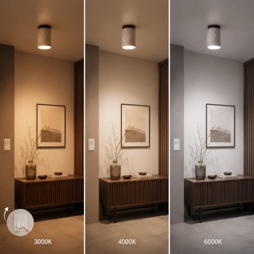 SYSR Lámparas de techo de estilo japonés wabi-sabi,Regulable lampara de techo de piedra natural,12W Retro Luz para recamara de base E27,Para pasillo,dormitorio,Isla de cocina,sala (C)