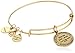 Alex and Ani Pisces Rafaelian Gold Bangle Bracelet