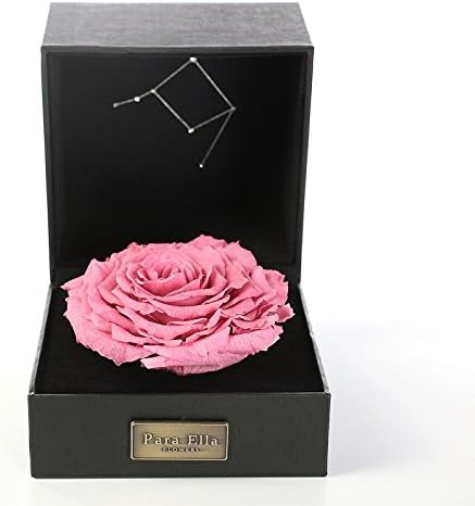 5" Handmade Forever Flower and Preserved Rose with Constellation Sign (Libra 23rd Sep to 22nd Oct), Best Anniversary, Birthday for her