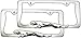 2 Jaguar Chrome License Plate Frames