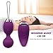 ACharm Rechargeable Bullet Vibrator Ben Wa Kegel Ball Dual 10 Speed Remote Control Waterproof Exercise Kit, 6.4 Ounce