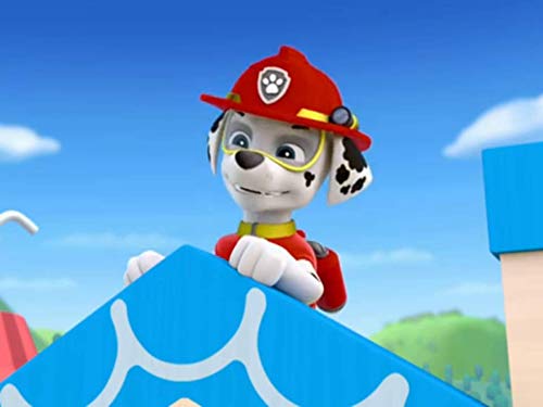 Amazon.de: Paw Patrol - Staffel 1 - Teil 1 [dt./OV] ansehen | Prime Video
