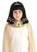 Forum Novelties Queen of the Nile Child Wig