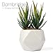 Bornbridge Artificial Succulent - Fake Succulent in Planter - Faux Succulent with Ceramic Geometric Planter - Artificial Potted Plant (1 Pack, Aloe)