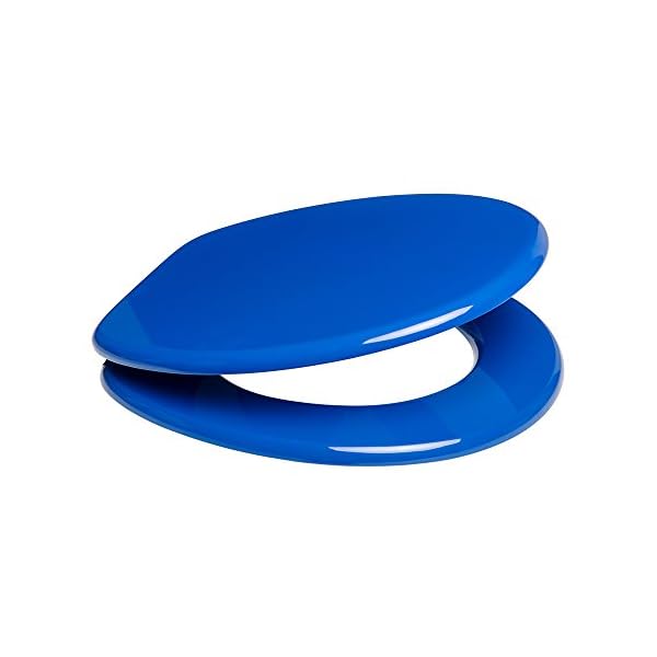 Blauer Toilettensitz mit Soft Close