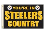 NFL Pittsburgh Steelers 3-by-5 Foot 