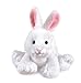 Webkinz Rabbit