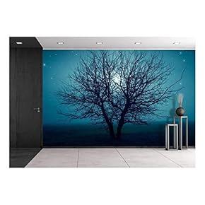 Mysterious Tree in a Middle of a Field Under The Starry Night Sky. - Removable Wall Mural | Self-Adhesive Large Wallpaper - 66x96 inches
