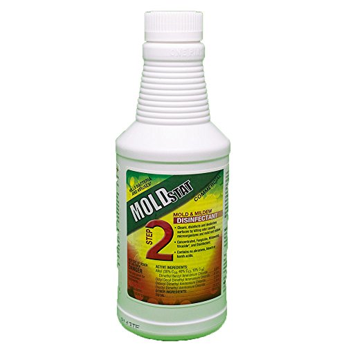 Top 10 Moldstat Plus Mold Killer of 2020 No Place Called Home