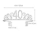 Frcolor Crystal Birthday Tiara,Rhinestone 40th Birthday Crown Princess Queen Party Headband for Women Girls (Silver)