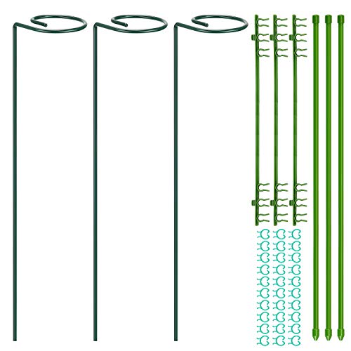 Yotako 3 Pack Metal Plant Support Stakes, 3 Pcs DIY Single Stem Plant Sticks, Plant Cage Support Rings, Garden Tomato Cage with 30 pcs Plant Clips for Plant Flower Growing - Thumbnail 7
