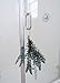 LaRolf Fresh Real Eucalyptus Hanging Shower Bouquet (12