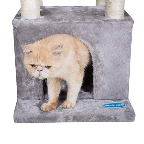 medium sized cat tree