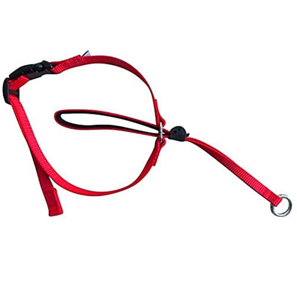Boolavard Dog Collars & Leashes Pet Head Collar Gentle Control Leash Leader Stop Pulling Training Tool No-Pull Painless (Small, Red)