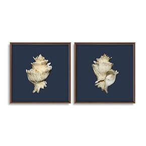 2 Piece Framed Canvas Wall Art for Living Room, Bedroom Conch Theme Canvas Prints for Home Decoration Ready to Hang - 16"x16"x2 Panels