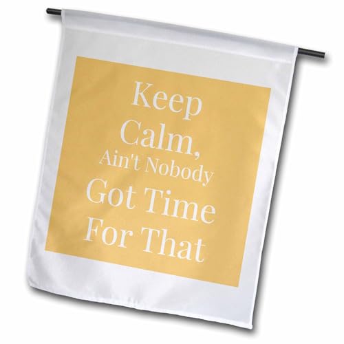 3dRose fl_218850_1 "Keep Calm, Aint Nobody Got Time for that Garden Flag, 12 x…