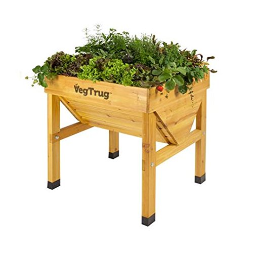 Mesa de cultivo de madera Vegtrug mini: Amazon.es: Jardín